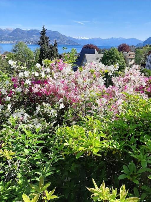 La Finestra Sul - In Con Vista E Posto Auto Coperto * Stresa